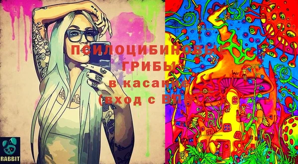 таблы Беломорск