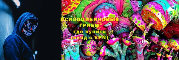 прущий лед Белокуриха