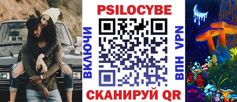 где найти   Воркута  Галлюциногенные грибы Psilocybine cubensis 