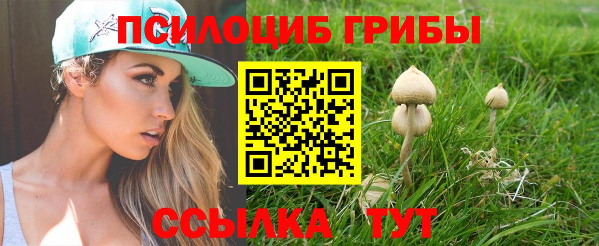 Воркута  закладка  Вход с VPN  Галлюциногенные грибы Cubensis  Галлюциногенные грибы Magic Shrooms 